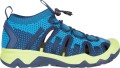 BLUE/GREENLIME